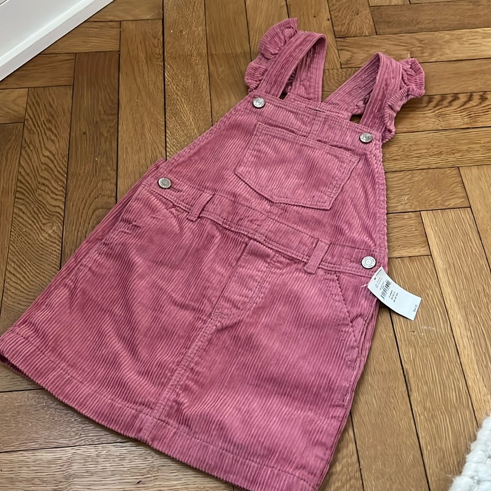 GAP Pink corduroy flutter sleeve skirtall- size 4T NWT